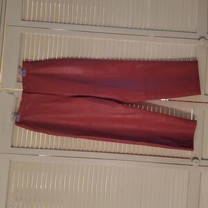 Terry Lewis Classic Luxuries Lambs Leather Slacks.
